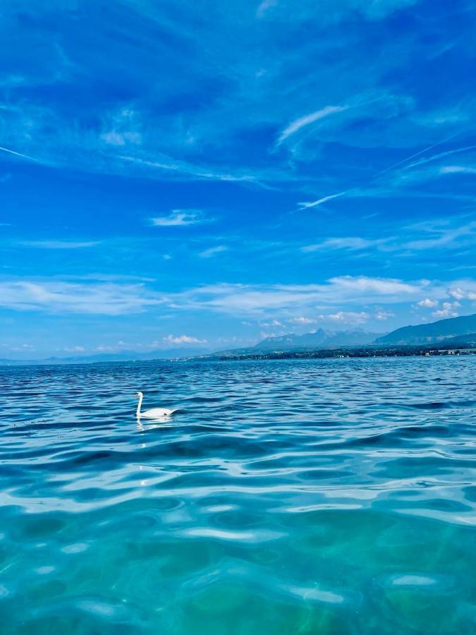 Appartement Le Leman エクヌヴェクス エクステリア 写真