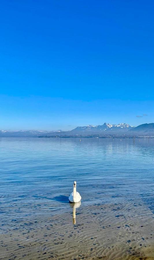Appartement Le Leman エクヌヴェクス エクステリア 写真